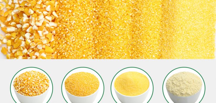 diferentes moliendas del maiz