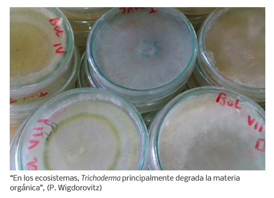 Captura de Pantalla 2023 07 06 a las 14.20.27