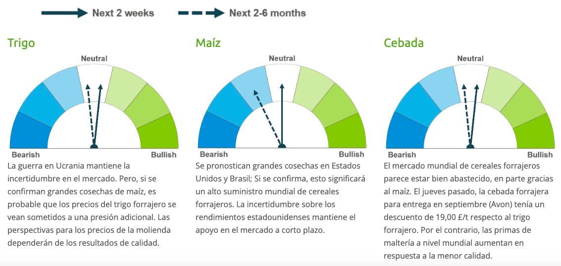 Captura de Pantalla 2023 08 29 a las 21.21.02