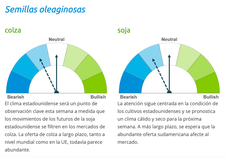 Captura de Pantalla 2023 08 29 a las 21.23.18
